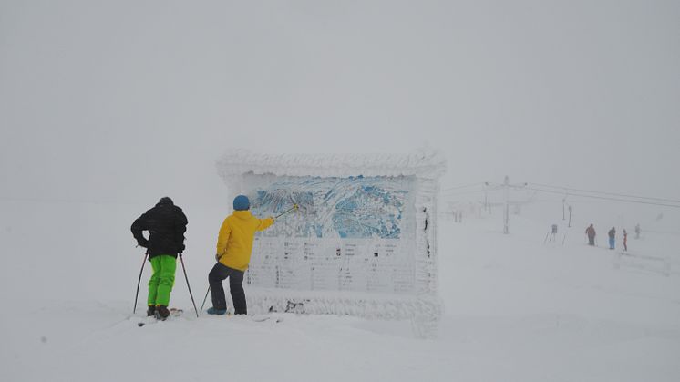 LØYPEKART