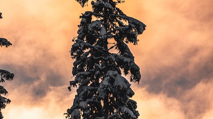 Sälen snö januari 2021