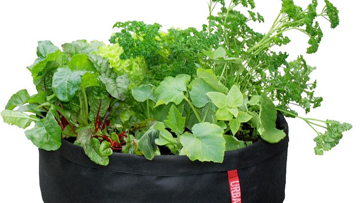 MicroGarden, Urbanero