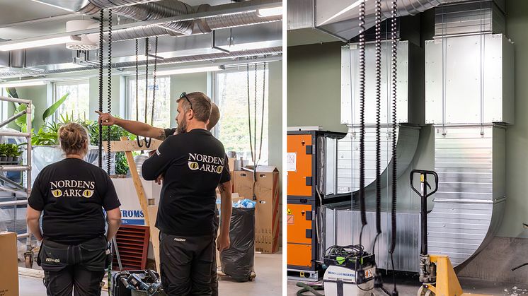 En frisk fläkt för utrotningshotade sköldpaddor på Nordens Ark