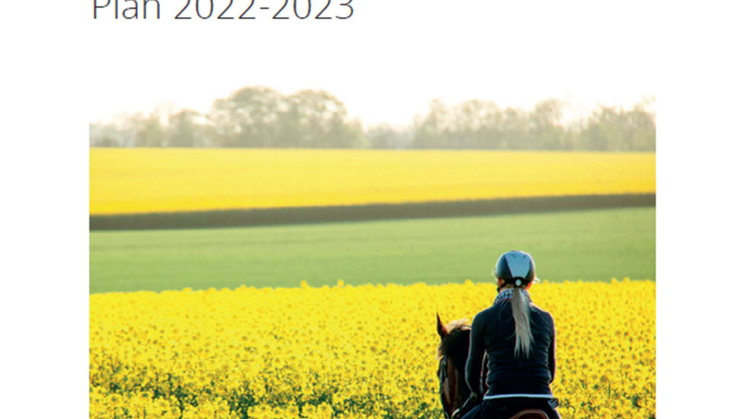 Budget 2021