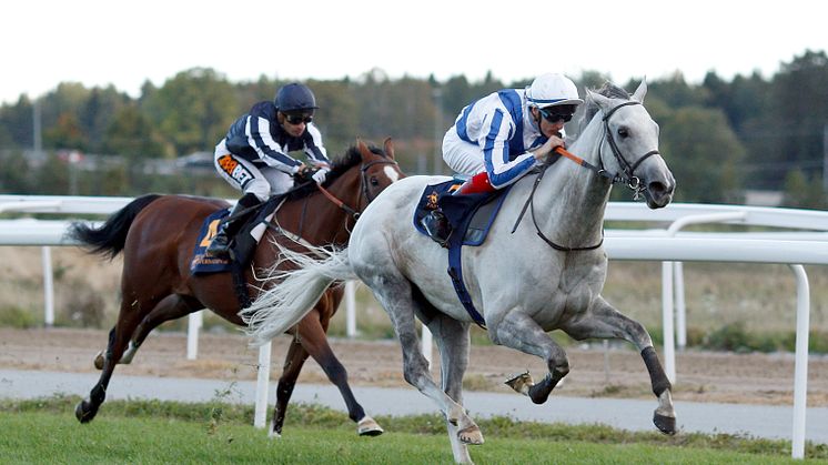 Thundering Blue vinner Stockholm Cup 2018