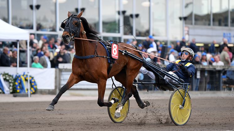 Decision Maker är den fjortonde hästen i Elitloppet 2024 och nu återstår två platser varav den ena går till segraren av H.K.H Prins Daniels lopp kl. 18.20 på Gävletravet i dag, lördag.
