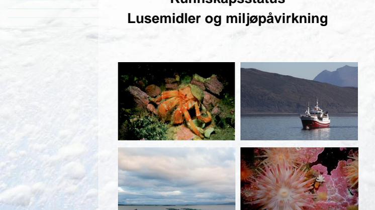 Akvaplan-niva har kartlagt kunnskapsstatus rundt miljøeffekter av lakselusmidler