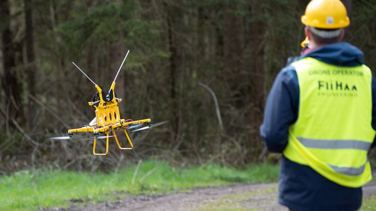 Montage Vogelschutz_5_3000x2000px