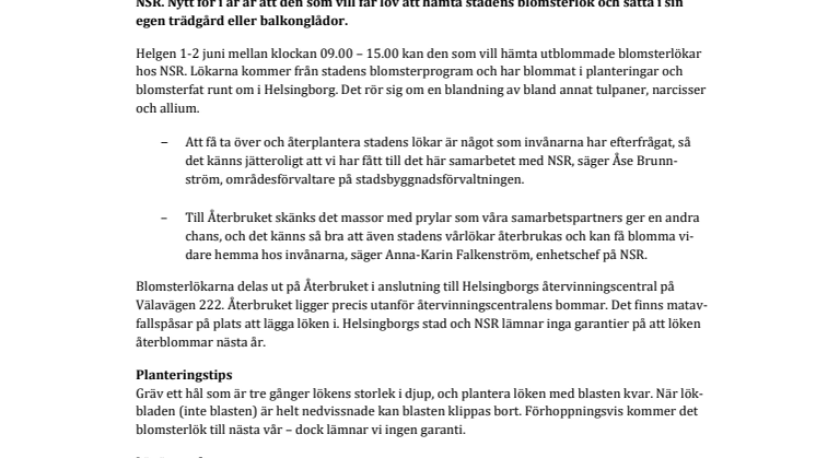 Återplantera stadens blomsterlökar hemma i trädgården