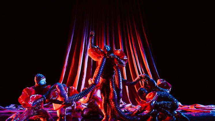 BJÖRK Foto Rumle Skafte