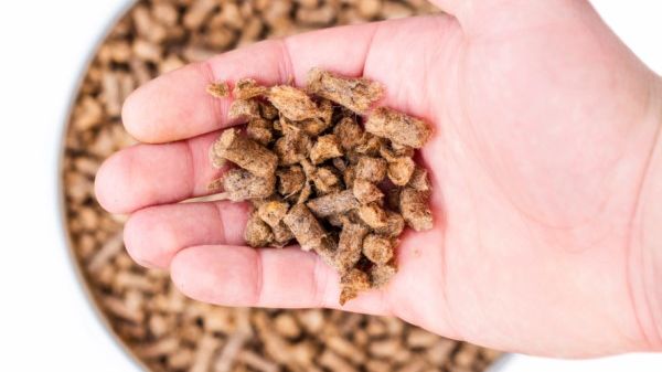 Schafwollpellets als organischer Dünger sind Ergebnis zertifizierter Forschung
