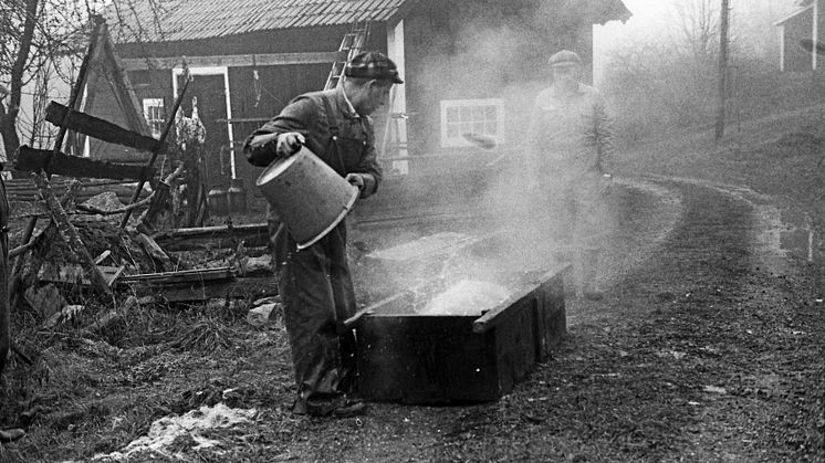 3 Lögning - foto Christer Nilsson