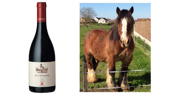 Ny årgång av Bourgogne Oka från Domaine Arlaud! 