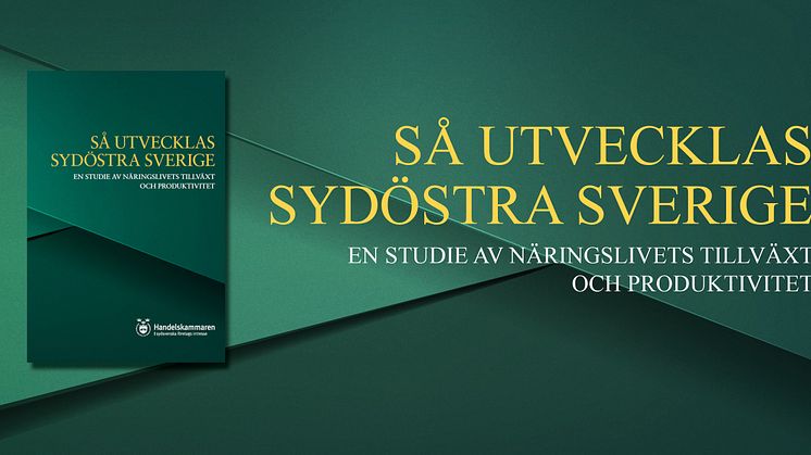 Ny rapport - Största analysen av näringslivet i Sydost någonsin 