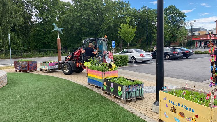 Nu fylls Döderhultarns plats med barnens blomsterprakt