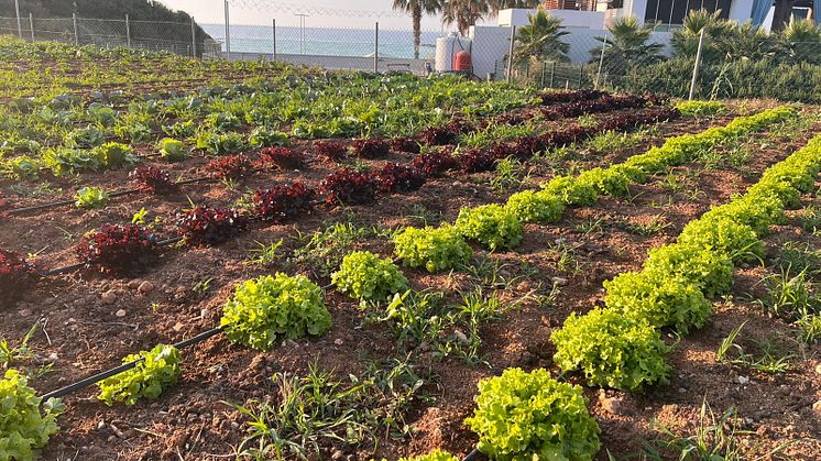 Karpaz Gate Marina - sustainability (2)