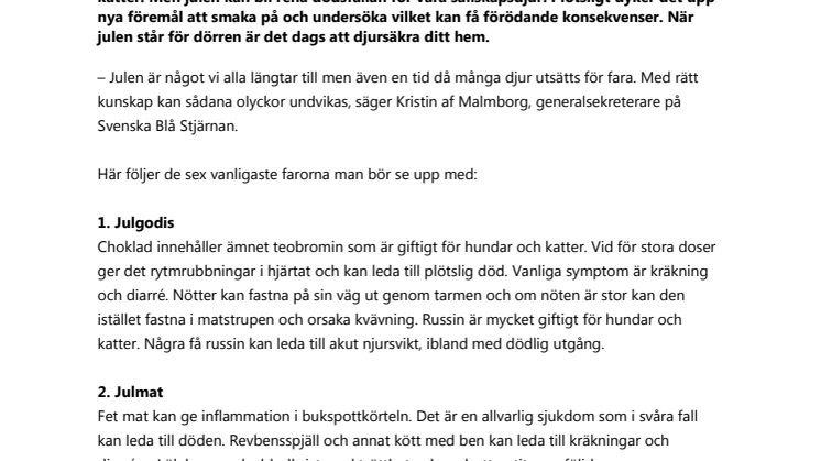 Se upp för julens faror – så djursäkrar du ditt hem