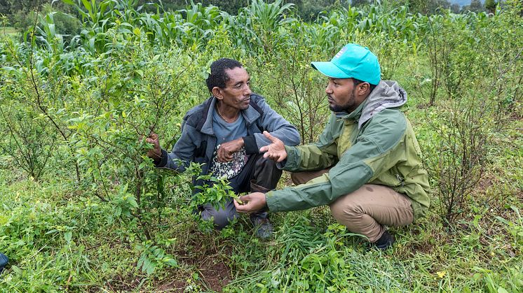 Ethiopia Machakel Alemayehu Gachow © Johannes Odé - The Hunger Project 2019 (4) - kopie