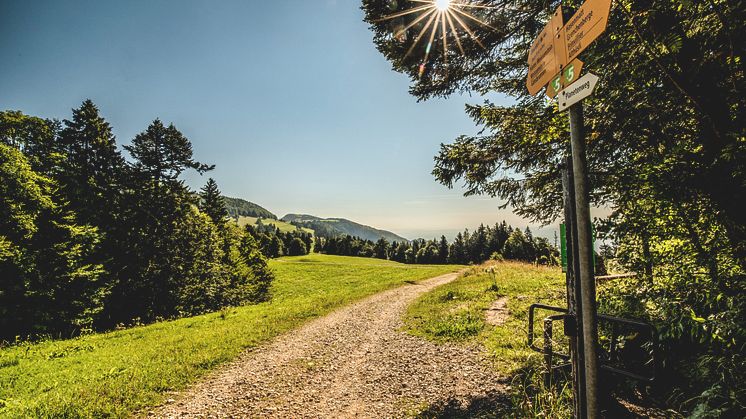 ST_3x2_Oberdorf-signpost_42892_ (c)Switzerland Tourism_Tamara Fehr