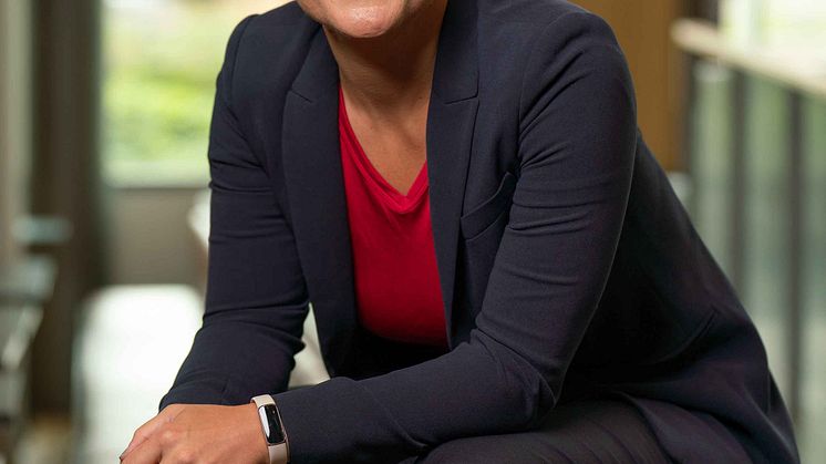 elif-schmidt-nya-integrationer-mot-business-central-och-pyramid