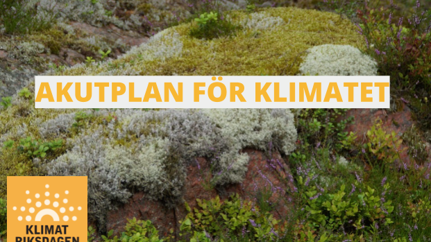 Akutplan för klimatet - lansering och överlämning till våra riksdagspartier!