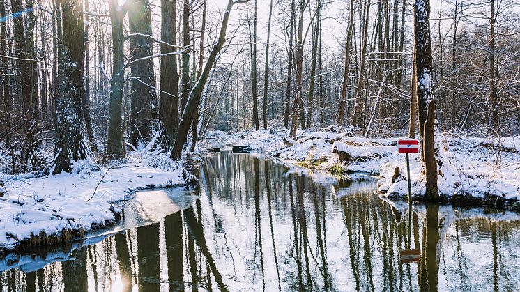 Abschalten und auftanken - auf und an den winterlichen Fließen im Spreewald. Foto: TMB-Fotoarchiv/Steffen Lehmann. 