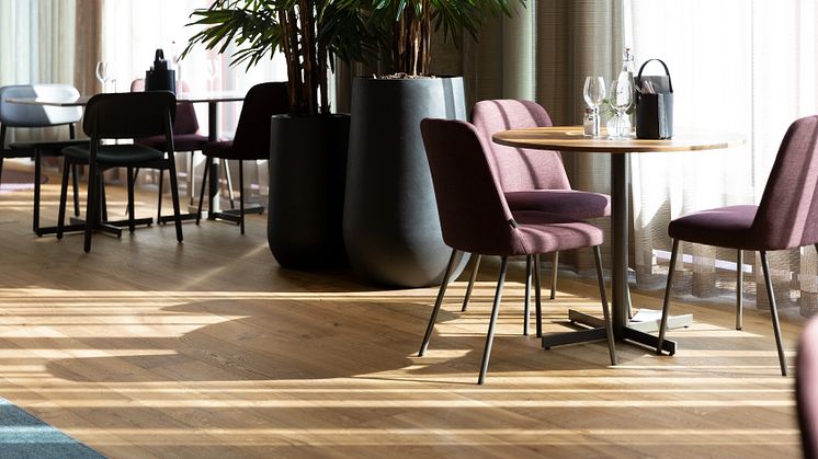 27072_Hardened_Wood_2