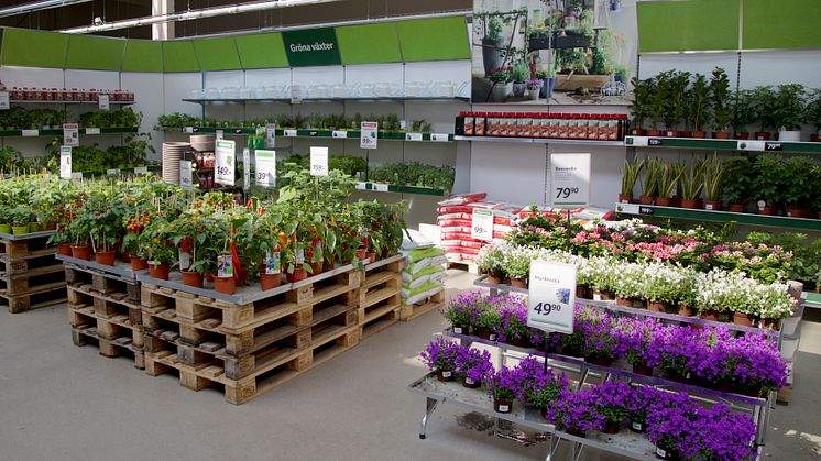 Blomsterlandet öppnar ny butik i Strängnäs