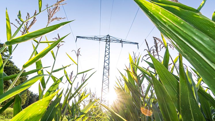 Ny rapport: Miljöeffekter av elnät och energilagring – en förstudie av nyckelkomponenter i ett framtida fossilfritt energisystem.