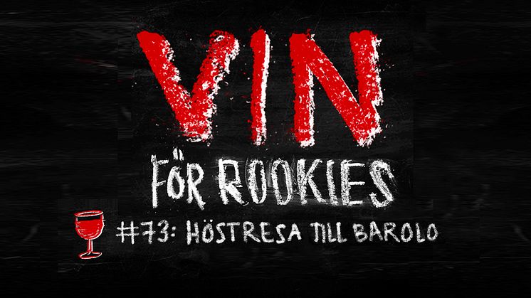 Vin för Rookies #73 - Höstresa till Barolo