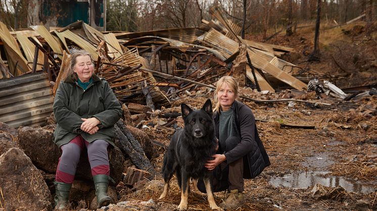 Årets Bragdhund 2024 Spårmarkens Otiz Fotograf Tord Saxin - 1.jpg