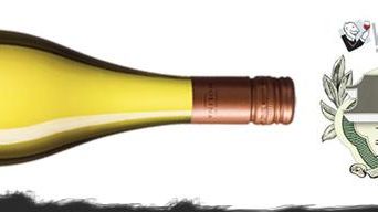 Deilig Sauvignon Blanc fra Andesfjellene 