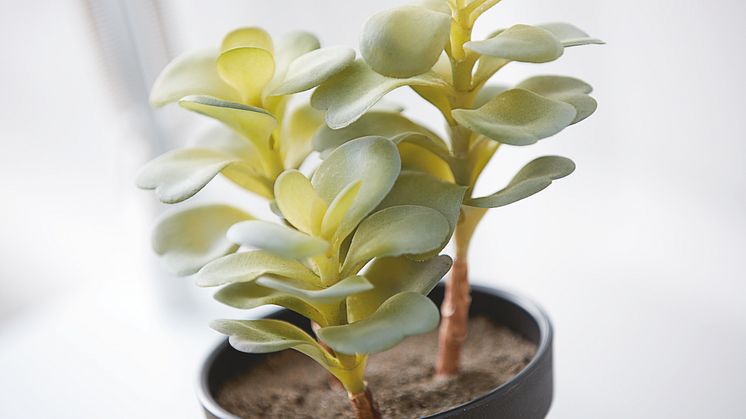 Nordic Mood februar 2018 (5)