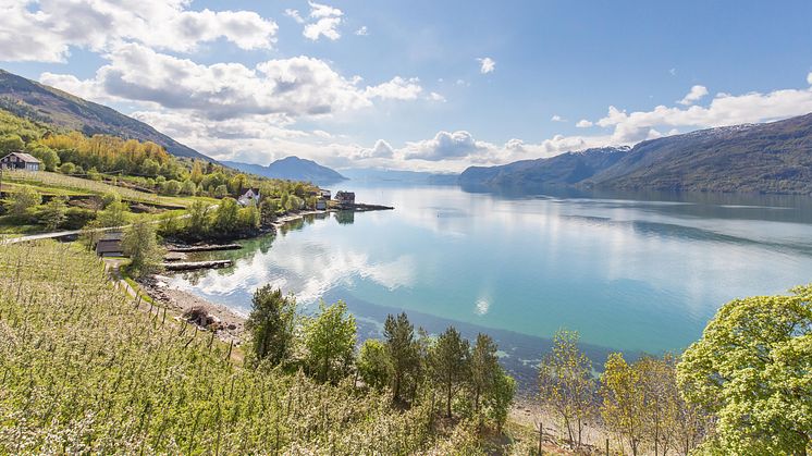 Bærekraftig fjordcruise på Sørfjorden starter opp 19. juni 2020. Foto: Haara