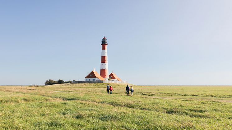 Foto: Matthis Volquardsen/Pexels.com