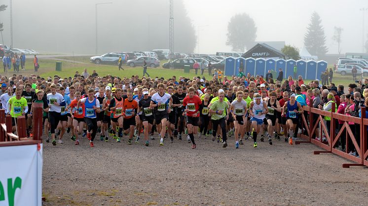 VasaStafetten 2013
