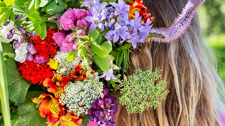 Sommarflor
