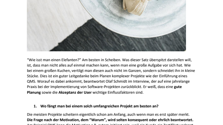 Wann sind QMS-Einführungen erfolgreich? 