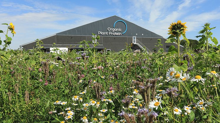 Danish Agro investerer i den plantebaserede og økologiske fødevarevirksomhed Organic Plant Protein A/S