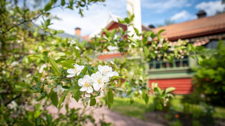 Carl Larsson-gården i Sundborn, Falun.