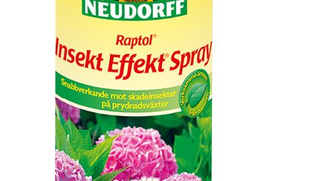 Raptol Insekt Effekt Spray 400ml_Neudorff