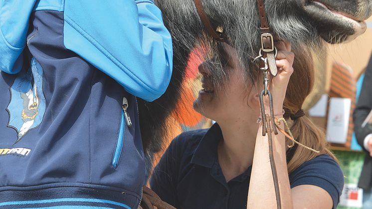 Pferde helfen Kindern durch schwierige Zeiten. Fressnapf unterstützt den Equotherapie-Verein e.motion mit einer Spende von 10.000 Euro.