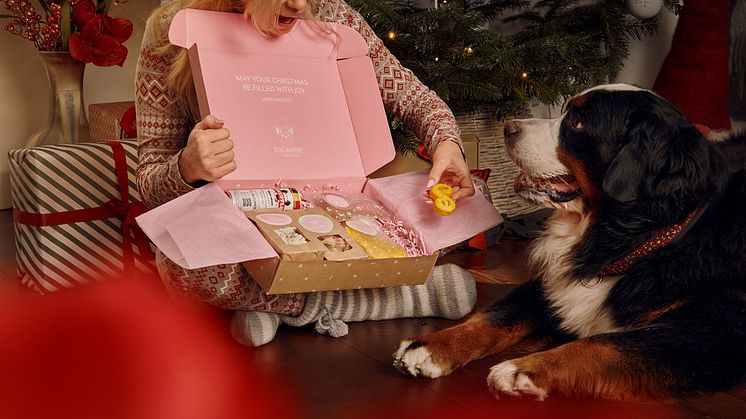 DENJO DOGS X DOG BAKERY POP-UP PÅ NK STOCKHOLM