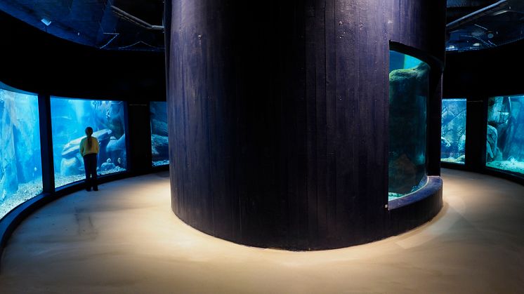 Akvarier i den djupa delen av Havets Hus, foto: Roger Jansson /Havets Hus