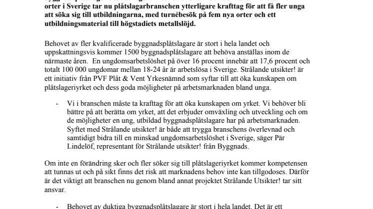 Bransch satsar för att få fler byggnadsplåtslagare – ett framtidsyrke