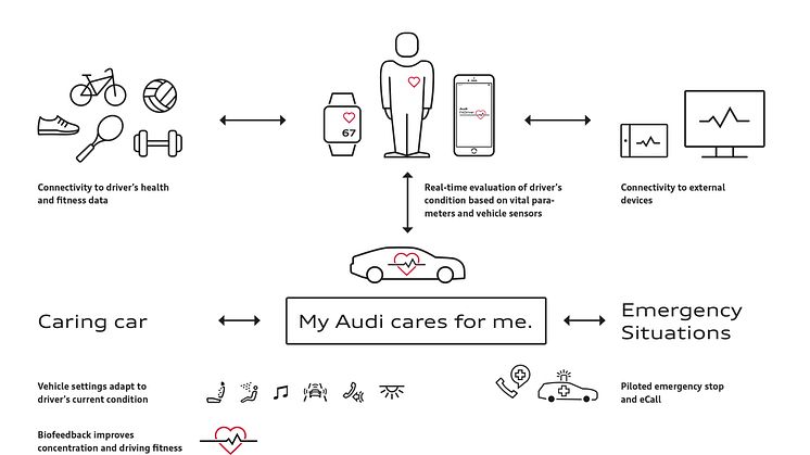 Audi FitDriver - Features