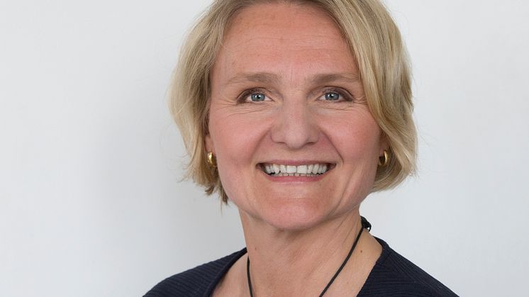 Titti Mattsson, professor i offentlig rätt