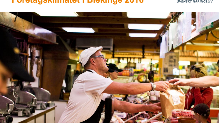 Företagsklimatet i Blekinge 2016