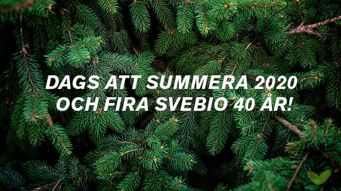 Dags att summera 2020