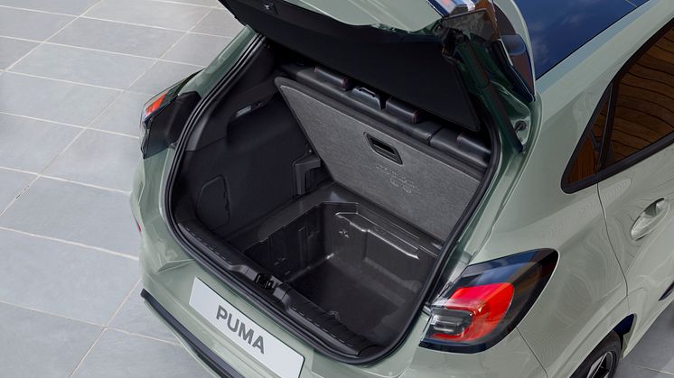 FORD PUMA_1_2024