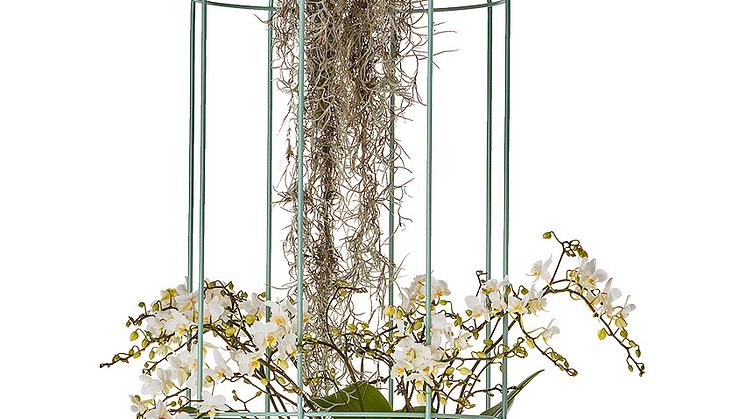 Cacti kokong / Hanging ampel, design Anki Gneib
