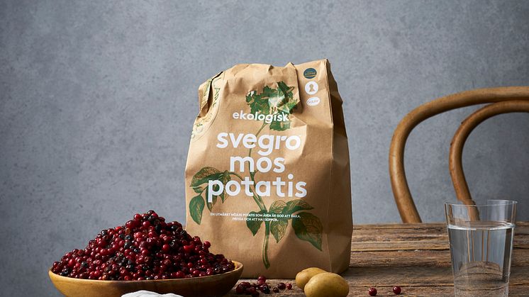 Svegro Potatis_EKO 