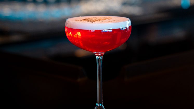 Melonberry Sour Cocktail 2.JPG